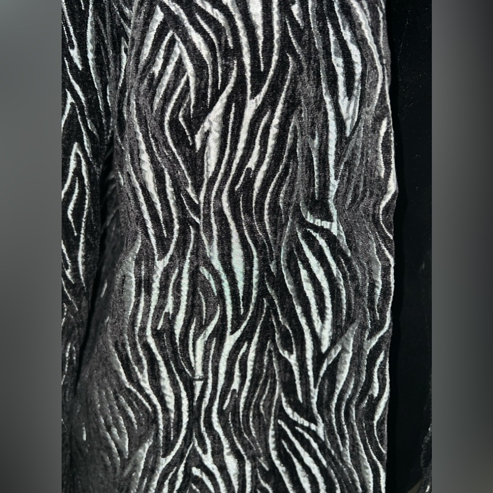 Zebra Coat - image 2